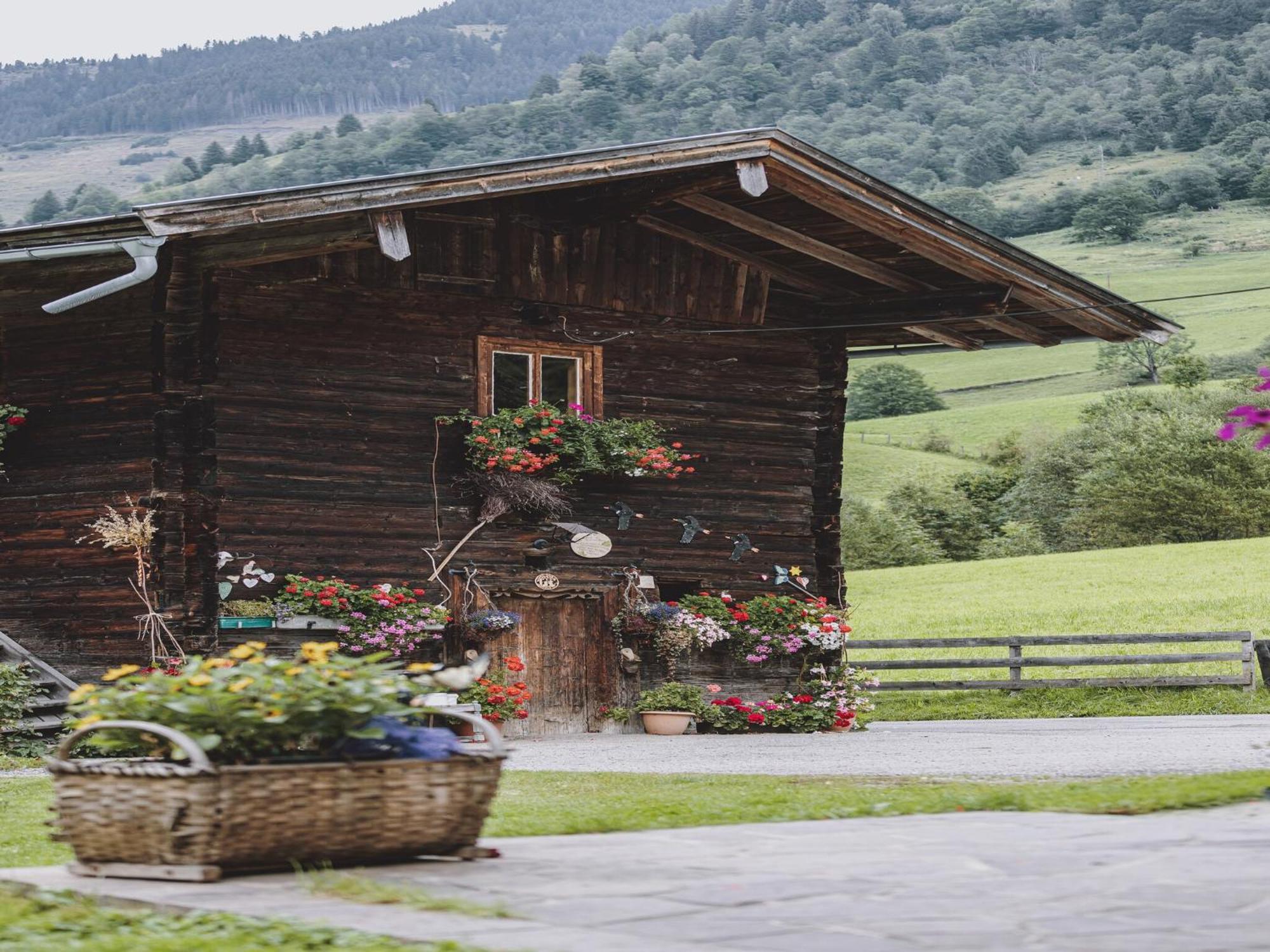 Holiday Home Fusch An Der Glocknerstra E Fusch an der Grossglocknerstrasse ภายนอก รูปภาพ